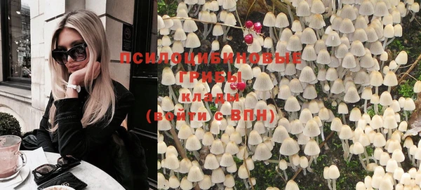 apvp Иннополис