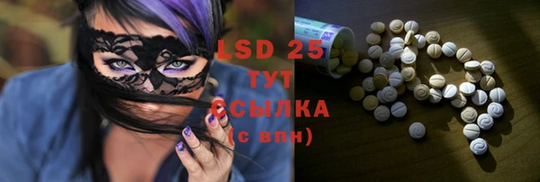 apvp Иннополис