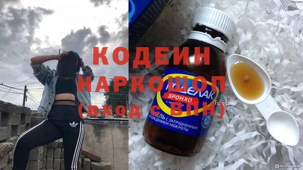 apvp Иннополис