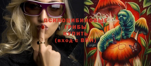 apvp Иннополис