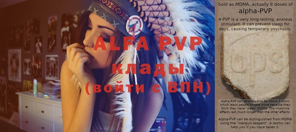 apvp Иннополис