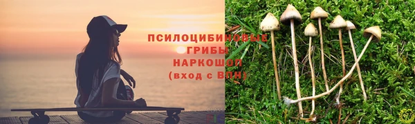 apvp Иннополис
