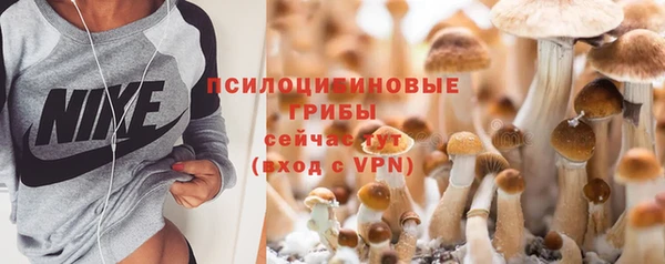 круглые Инта
