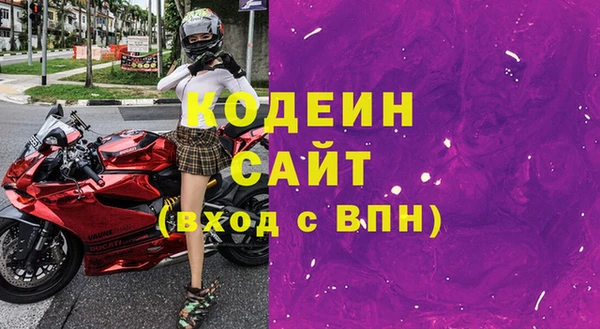 apvp Иннополис